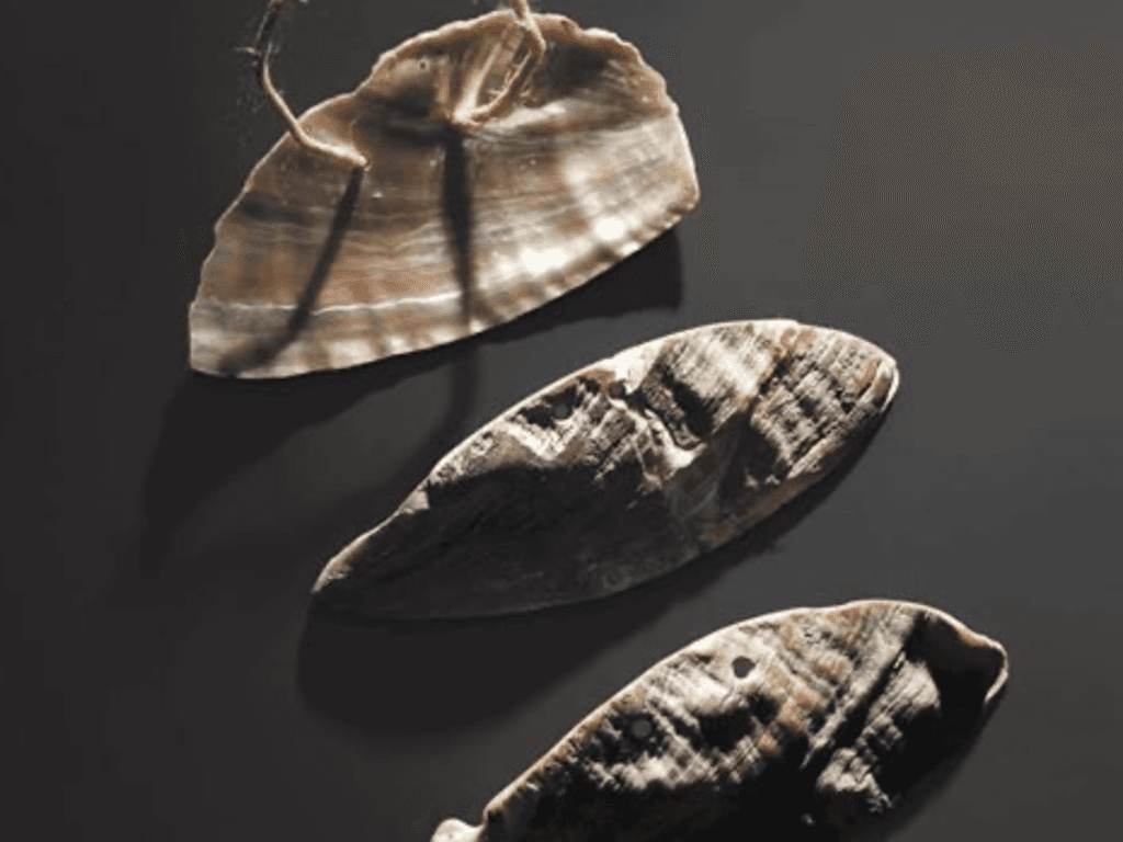 Cover Image for Abalone Shell Knives and Arrowheads