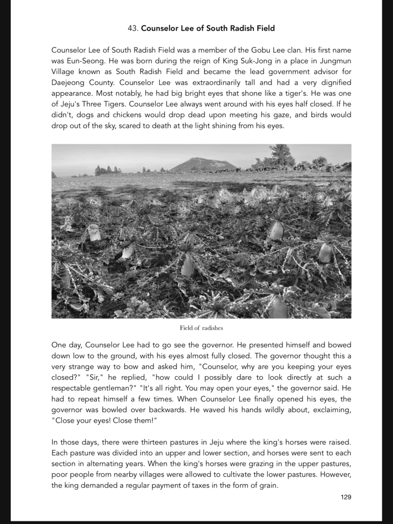 Cover Image for Counselor Lee of South Radish Field