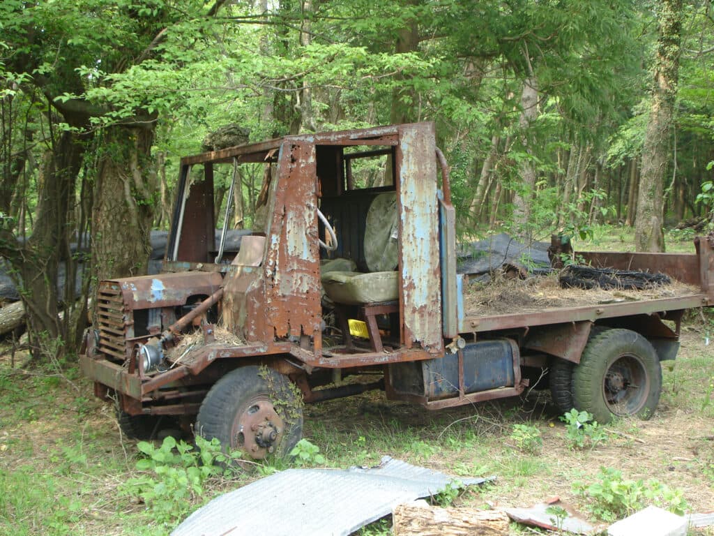 Cover Image for Fabulous and Forsaken Trucks and Tractors