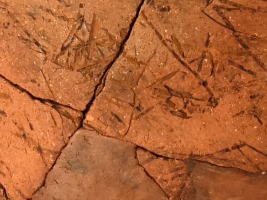 Cover Image for Gosanri-Style Pottery