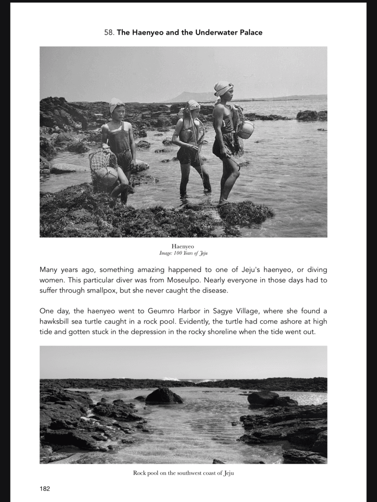 Cover Image for The Haenyeo and the Underwater Palace