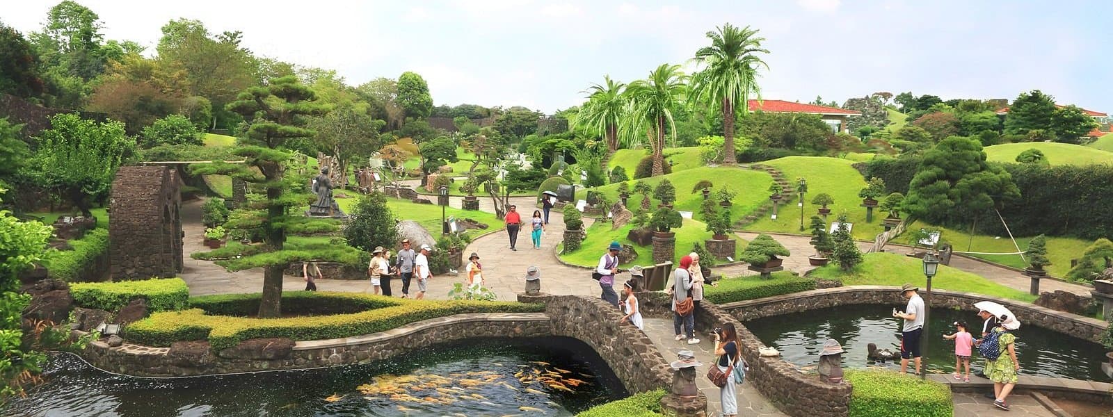Beautiful scenic view of Jeju Island landscape