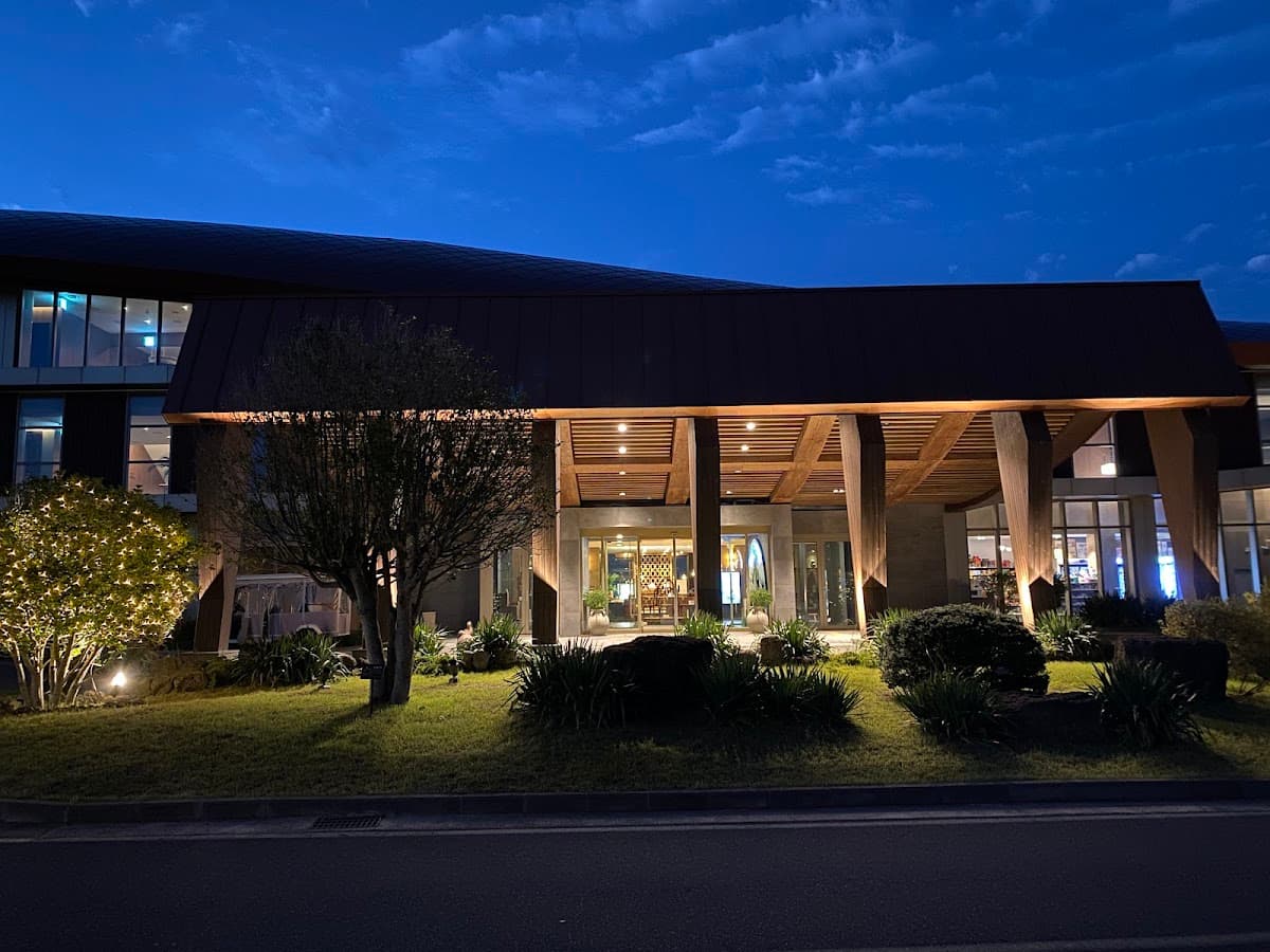 Jeju Luxury Treehouse