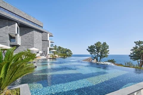 Jeju Wellness Retreat