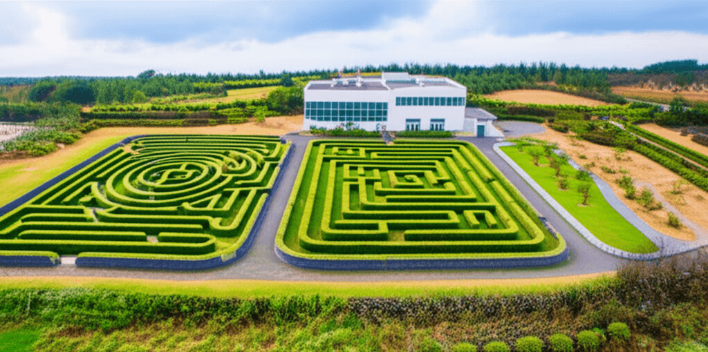 Maze Land