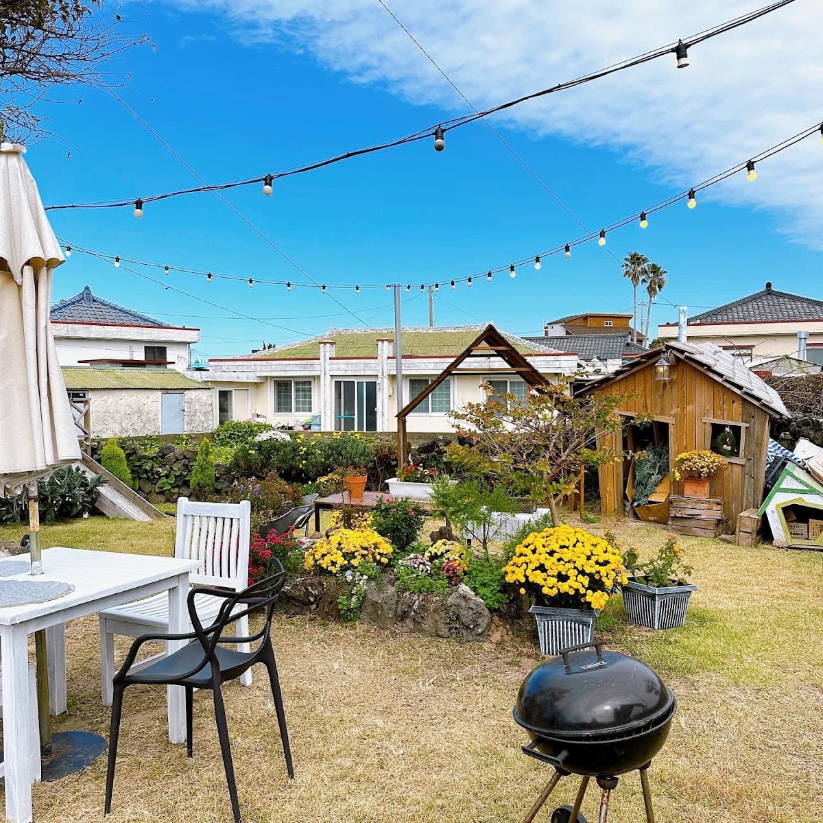 Jeju Butterfly Garden Cafe