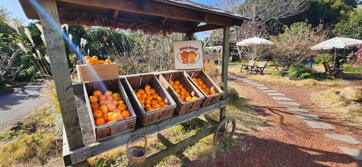 Jeju Citrus Farm Cafe
