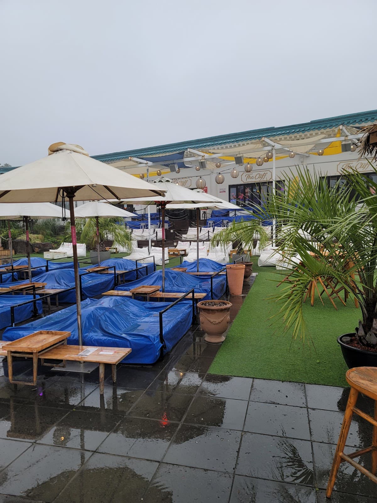 Jeju Cliff Rappelling Cafe