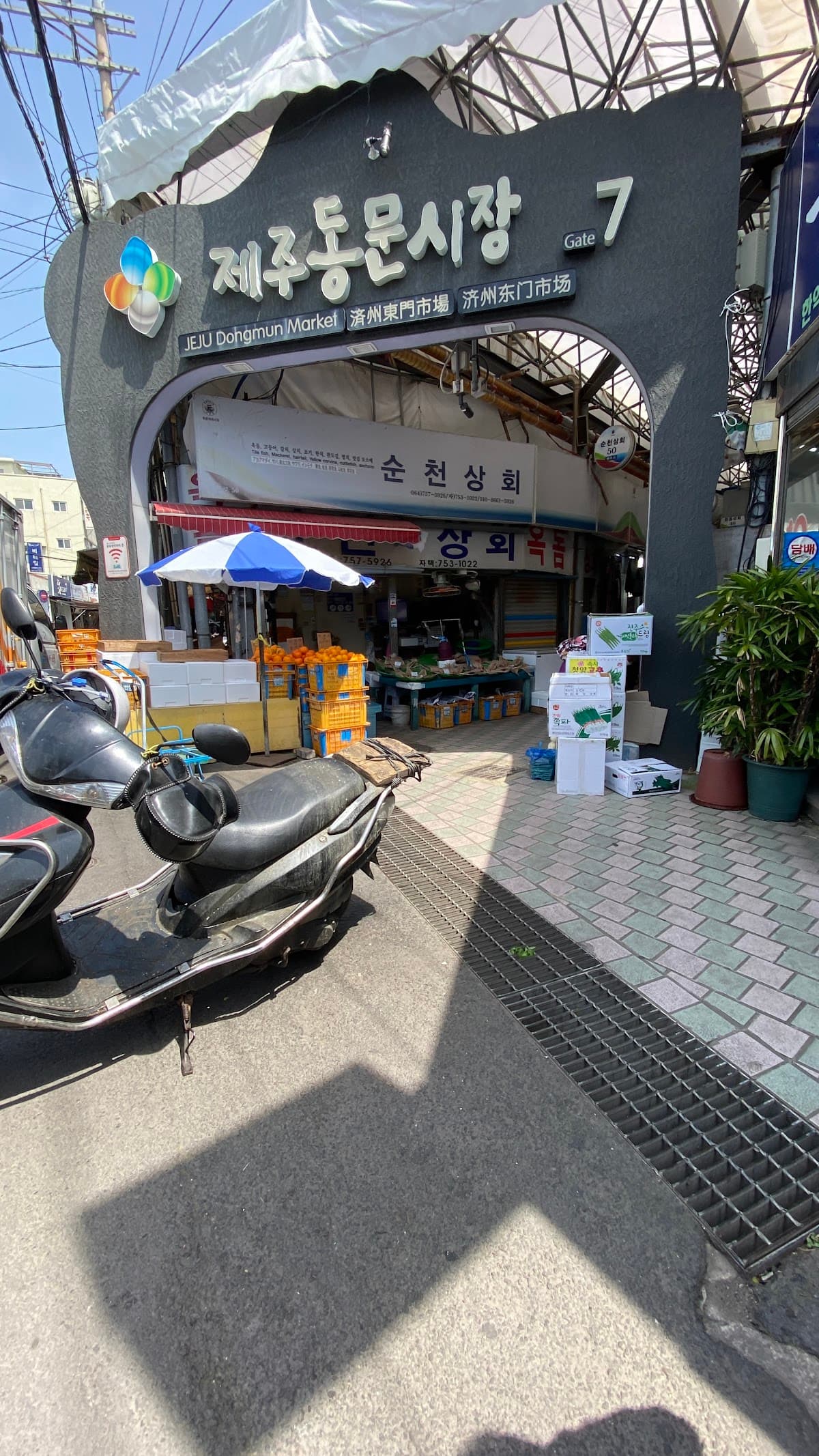 Jeju Food Truck Festival Hub