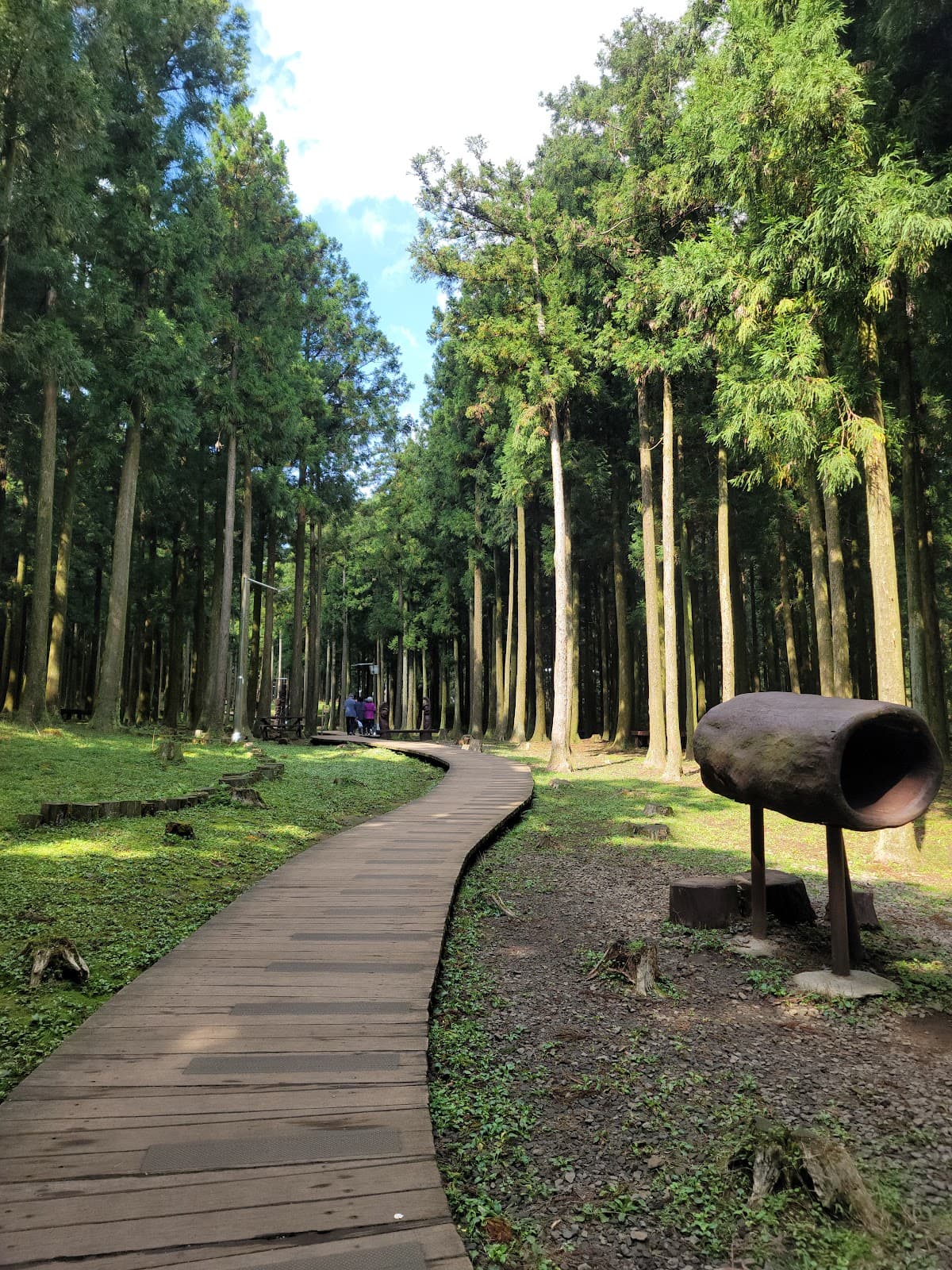 Jeju Forest Bathing Restaurant
