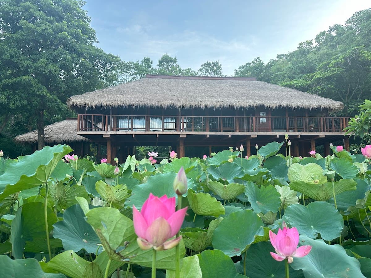 Jeju Meditation Dining Temple