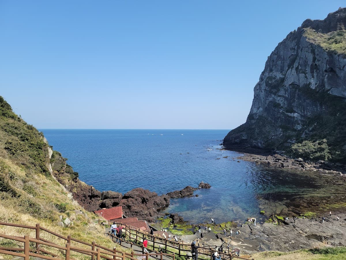 Jeju Sunrise Energy Cafe