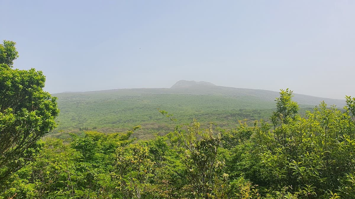 Jeju Volcano Eruption Simulator