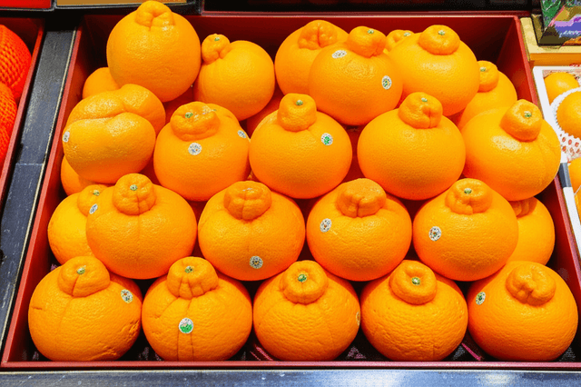 Hallabong Oranges
