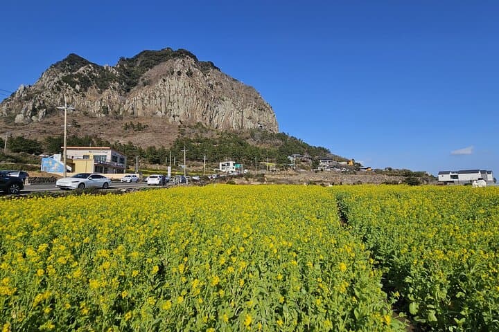 Jeju Island SouthWest UNESCO Day Tour