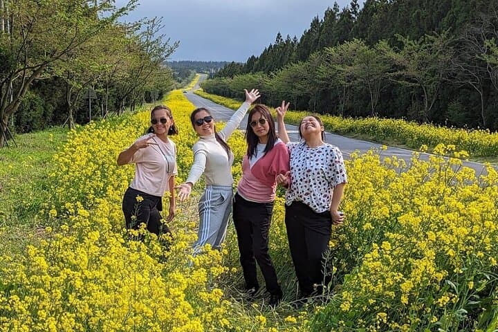 South of jeju tour for Seogwipo Gangjeong Cruise customers