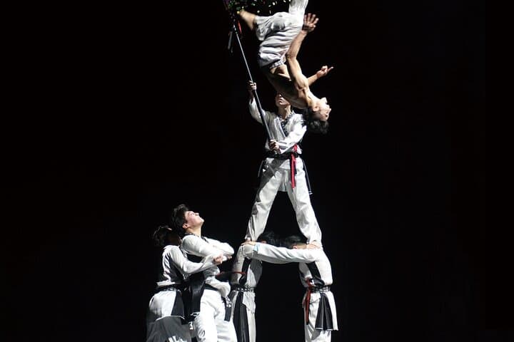 Jeju The K-Show Taekwondo Show Ticket