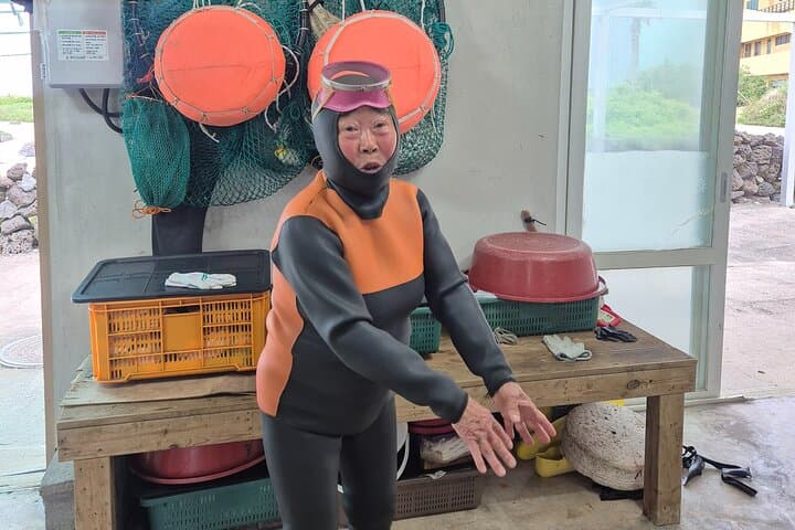 Private Encounter with a Haenyeo: Jeju Shore Excursion