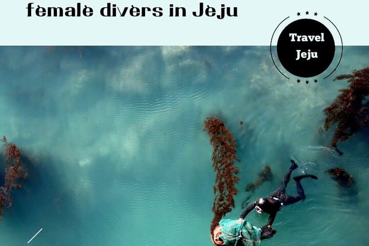 Experience Haenyeo Diving : female divers in Jeju