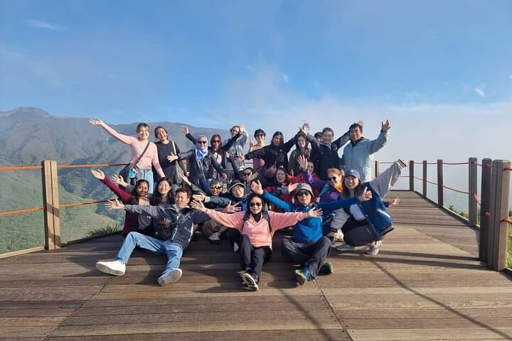 Jeju Southern Tour Mt Halla Green Tea Fields and Waterfalls