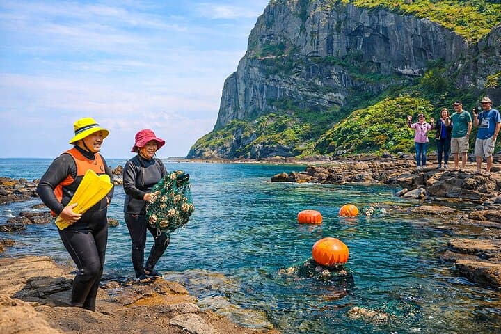 Jeju island Eastern UNESCO site Full Day Guided Tour