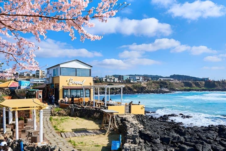 Jeju WEST&SOUTH One Day Tour with MT.halla & UNESCO