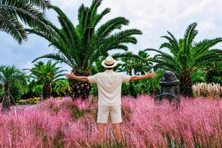 Jeju: UNESCO-Listed Southern Authentic Day Tour