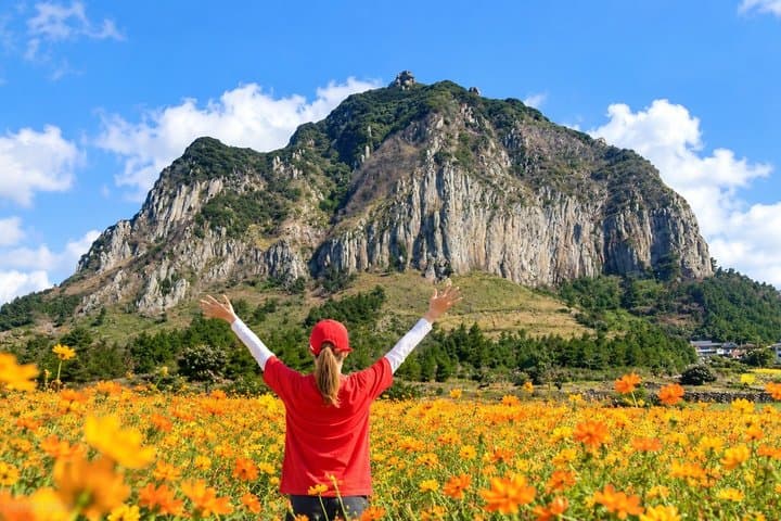 Jeju South-West Essentials: Hallasan & Signature Highlights