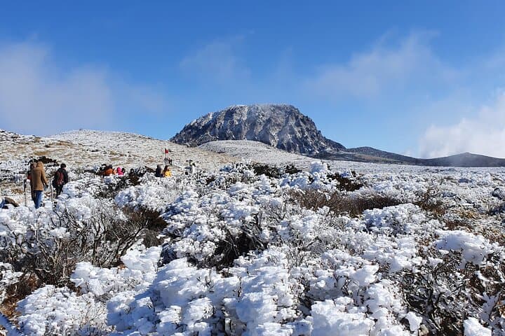Jeju WEST&SOUTH One Day Tour with MT.halla & UNESCO