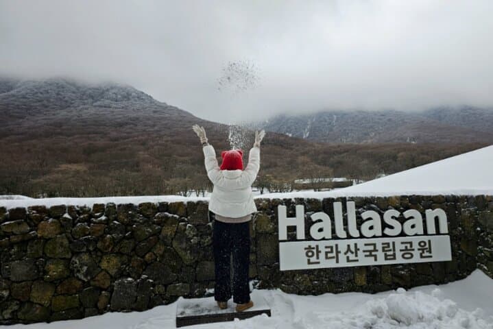 Jeju: UNESCO-Listed Southern Authentic Day Tour