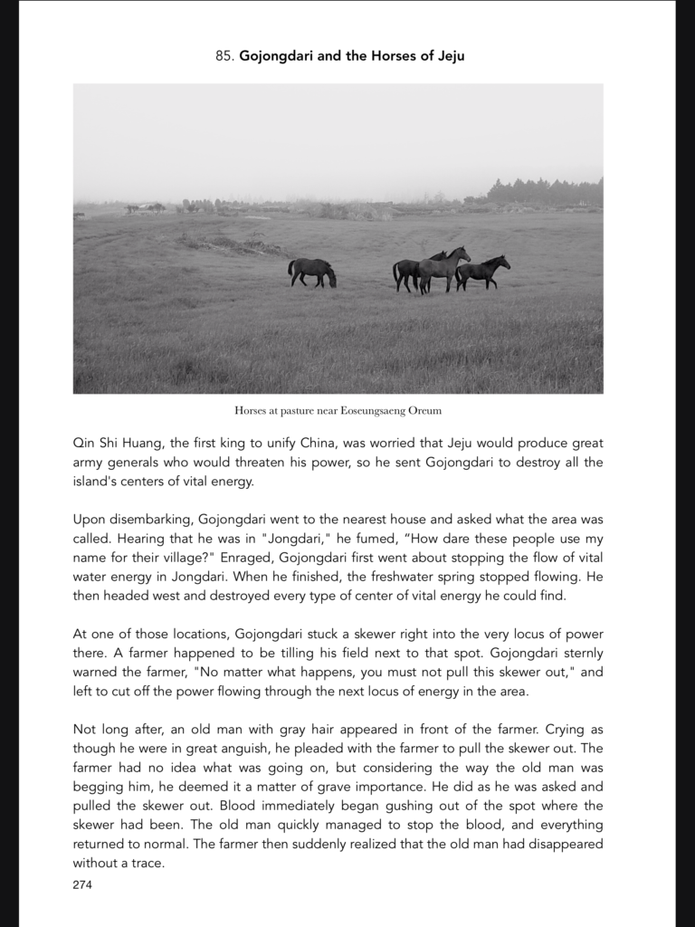 Gojongdari and the Horses of Jeju