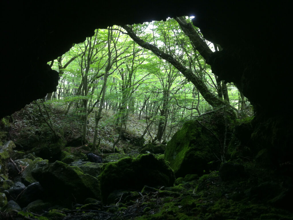 Prehistoric Rock Shelters