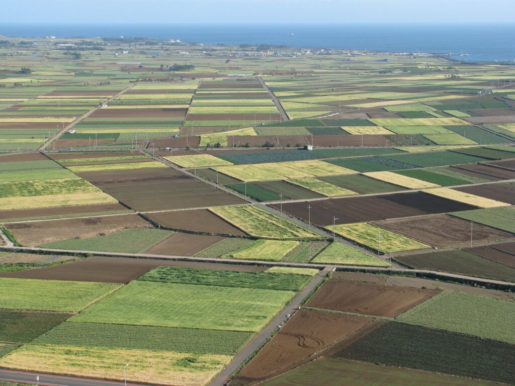 The Calming Promise of Fields and Farms